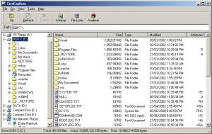 SizeExplorer screenshot