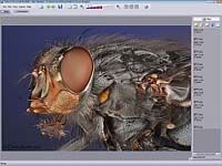 Helicon Focus screenshot