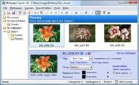 Wallpaper Cycler Lite screenshot