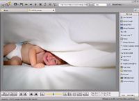 Fly Free Photo Editing & Viewer screenshot