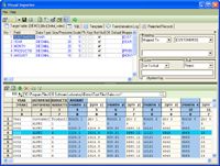 Visual Importer screenshot