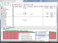 NetBalancer Free screenshot