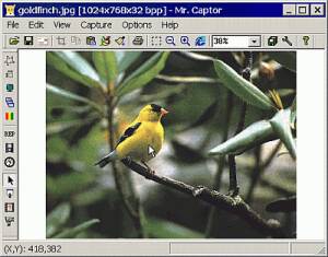 Mr. Captor screenshot