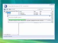 Raise Data Recovery for FAT screenshot