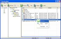 RecoveryDesk  screenshot