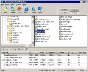Advanced WMA Workshop screenshot