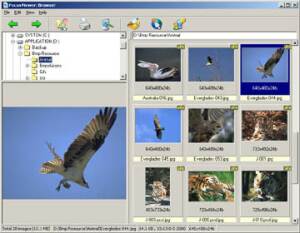 FocusViewer screenshot