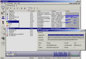 Net Leech screenshot