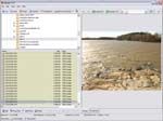 WildBit Viewer