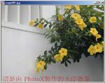 PhotoX Batch Watermark Creator