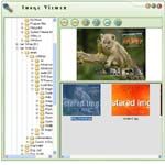 Image Viewer