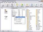 CryptoExpert 2007 Lite