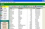 Bronze Inventory POS System