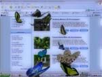 Desktop Butterflies 3D Screensaver