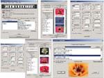 Pics Organizer