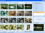MyPhotoIndex