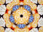 PhotoEchoes