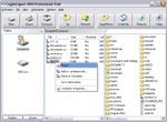 CryptoExpert 2007 Lite