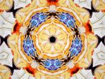 PhotoEchoes