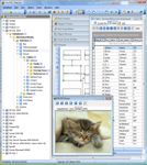 AnySQL Maestro