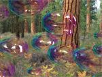 Amazing Bubbles 3D Screensaver