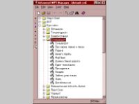 Advanced MP3 Manager