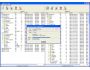 Link Maven 1.10