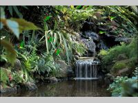 Living Waterfalls