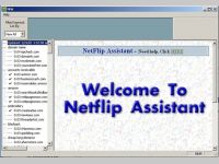 NetFlip Assistant