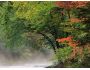 All Seasons Screensaver Captura de pantalla