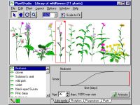 PlantStudio(TM) Botanical Illustration Software