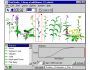PlantStudio(TM) Botanical Illustration Software 2.01