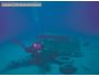 Amazing Dives Screensaver 1.2