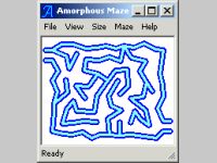 Amorphous Maze
