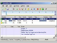 ReGet Pro
