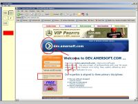 Screen Capture