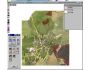siGGis - GIS viewer 1.60
