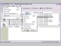 Site Publisher