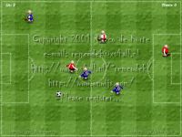 SoccerSaver