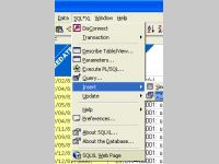 SQL*XL