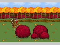 Turkey Shoot