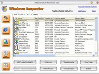 Windows Inspector