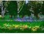 Woodland 2001 Screensaver 3.0