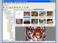 XnView