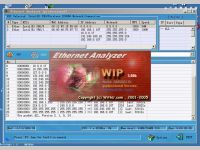 WIP Ethernet Analyzer