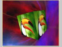 3D Custom Screensaver