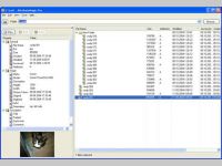 Attribute Magic Pro