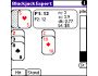 Blackjack Expert 1.13