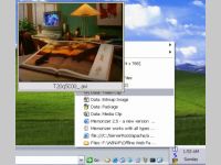 Memorizer eXP