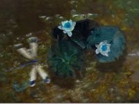  WB Water Dragonfly (screen saver v2.0)